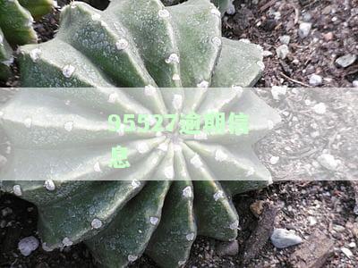95526短信告知贷款逾期，没钱还怎么办？