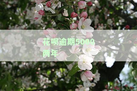 花呗2000多逾期5个月还款后还能用吗，安全吗？逾期五个月不还有什么后果？