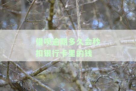 借呗逾期多久会要全款还