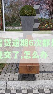 房贷逾期6次都是晚交了，怎么办理及相关建议