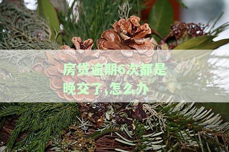 房贷逾期超过6次会起诉吗，怎么办？