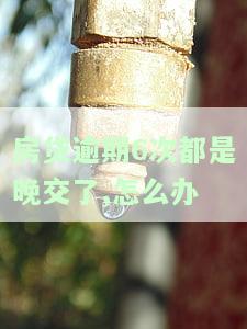 房贷逾期6次都是晚交了,怎么办