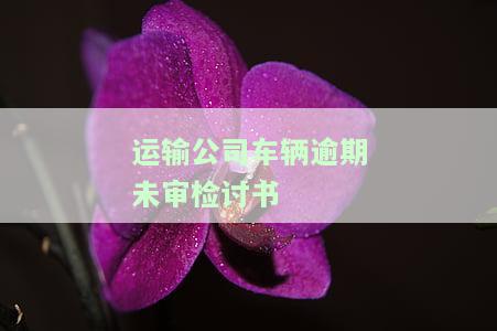 运输公司车辆逾期未审检讨书怎么写及后果