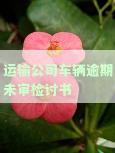 货运车辆逾期年审情况说明