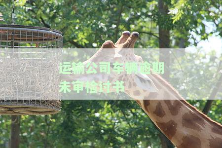 运输公司车辆逾期未审检讨书