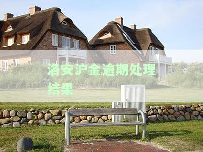 洛安沪金逾期处理结果怎么查询