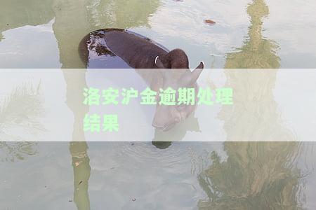 洛安沪金逾期问题引发金融市场恐慌