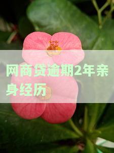 网商贷逾期后，如何恢复使用资格？可以协商分期还款或只还本金吗？
