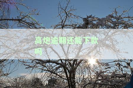高炮逾期还能借吗，逾期后还能贷到款吗？