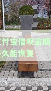 支付宝借呗逾期了多久能恢复正常使用和征信额度？