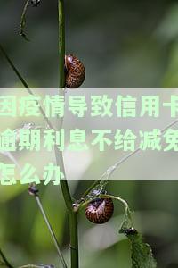 因疫情导致信用卡逾期利息不给减免怎么办理及影响