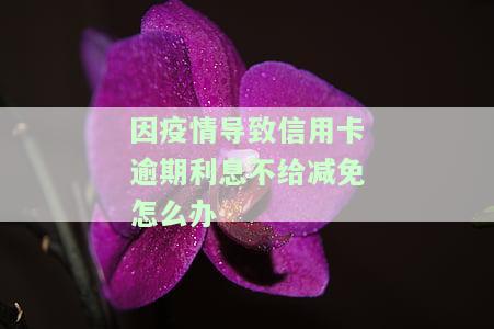 疫情期信用卡逾期确实还不起，有影响吗？怎么办？