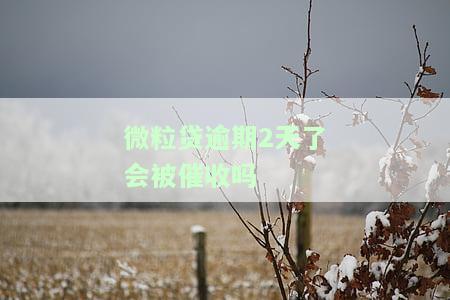 微粒贷逾期2天了会被催收吗怎么办？