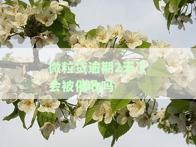 微粒贷逾期2天了会被催收吗