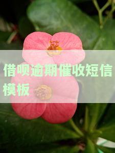 借呗逾期催收短信模板-告