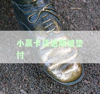 小赢卡贷逾期被垫付