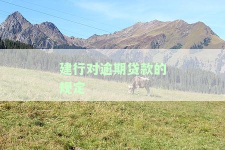 建行对逾期贷款的规定