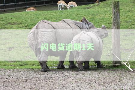 闪电贷逾期1天上征信么及其影响，逾期几天怎么办，逾期多久会上诉