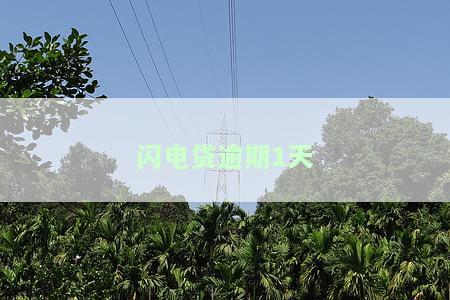 闪电贷逾期1天