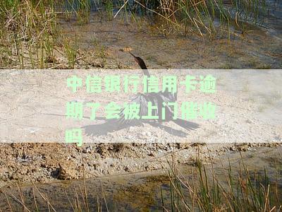 中信银行信用卡逾期会上门催收吗？