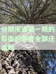 分期乐逾期后一次性还完,对征信的影响及借款资格情况