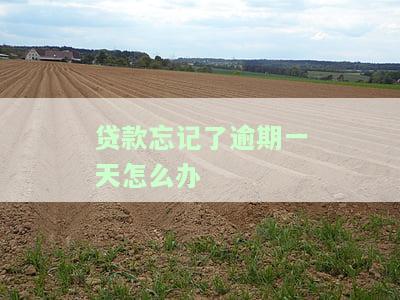 银行贷款忘记逾期一天怎办？逾期多久列失信人名单？房贷逾期一天有事没？