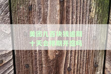 美团逾期几千块，一个月会怎么样是否美团起诉
