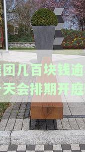 美团逾期8天会起诉，我已还2000多
