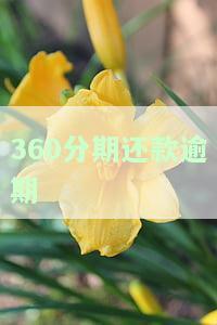 360分期逾期三天还不上全额还款吗