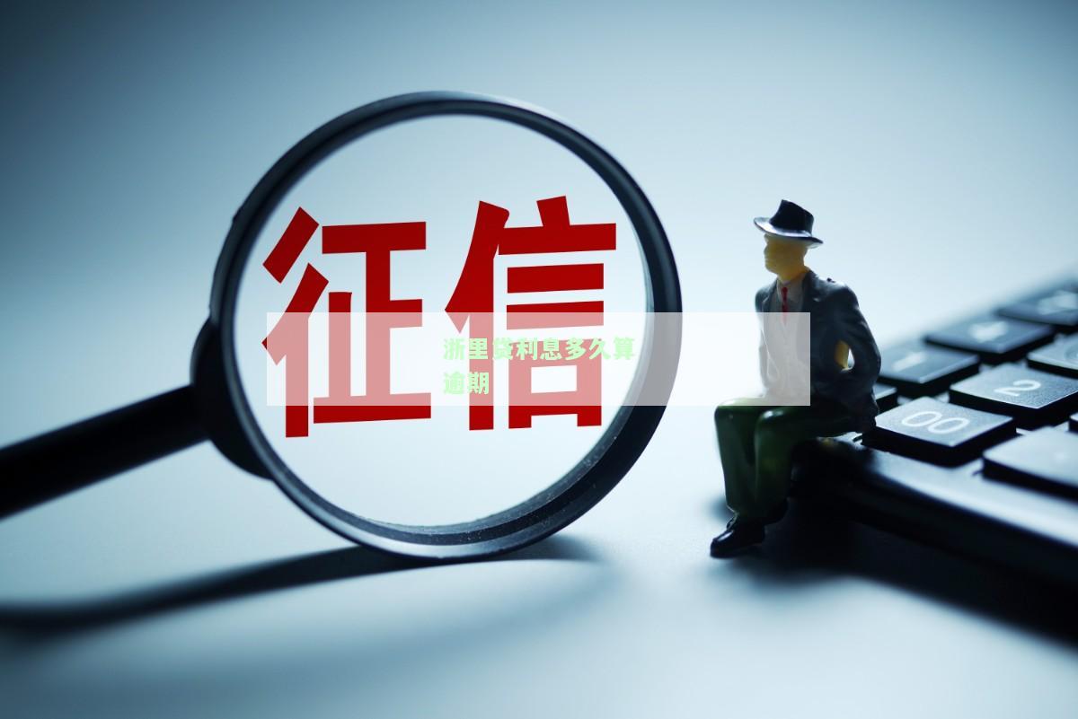 浙里贷几年期：信用借款、快速审批、低利率、线上操作、安全可靠
