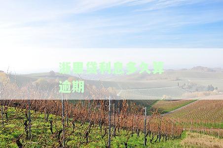 浙里贷借款时间限制及到账速度