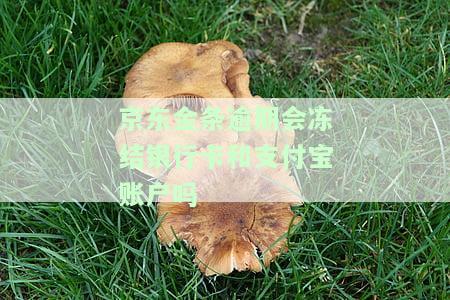 京东金条逾期一年会不会冻结名下的银行卡和微信？