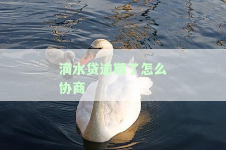 滴水贷逾期了怎么协商分期还款及推还款？