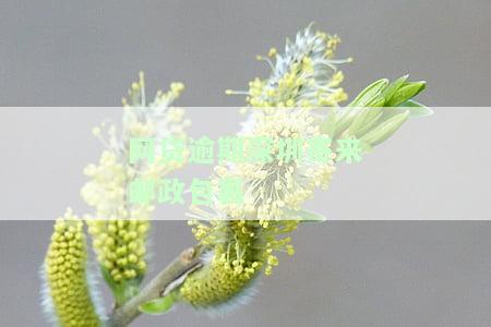 网贷逾期了从深圳邮过来的：应对逾期还款的有效方法