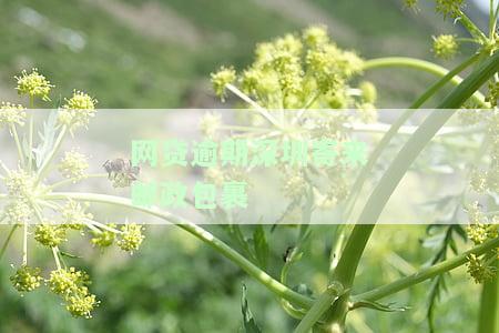 网贷逾期从深圳寄出的快递如何处理及能否收到？