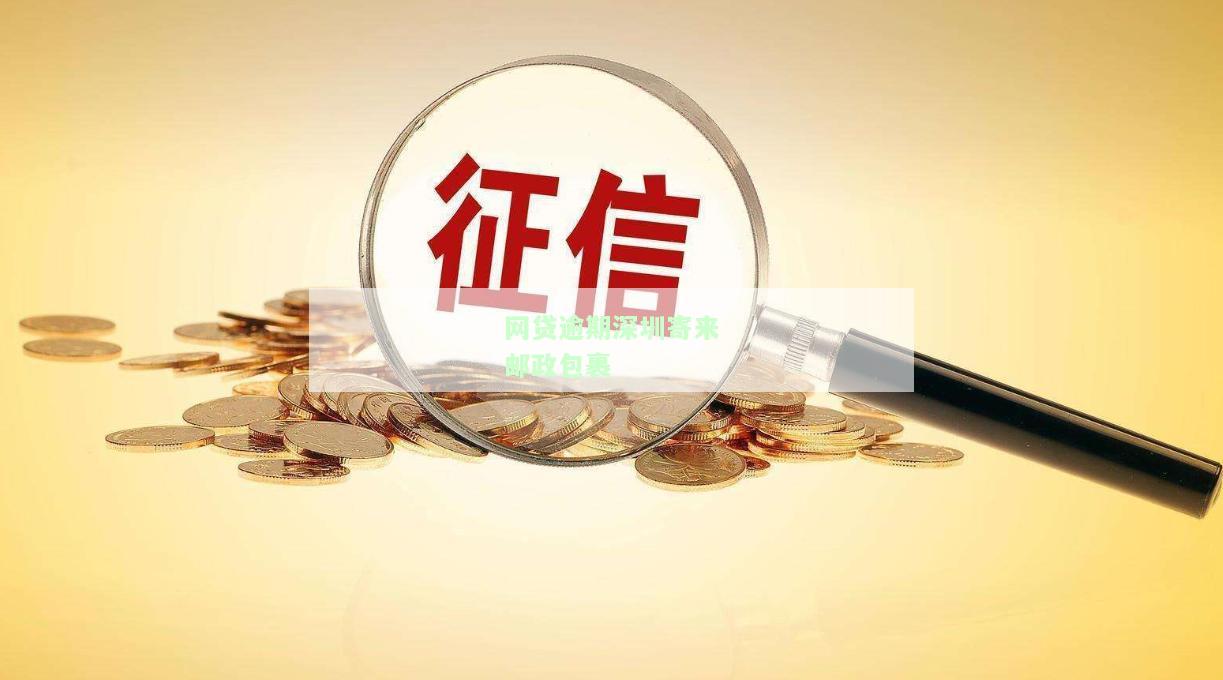 网贷逾期深圳寄来邮政包裹