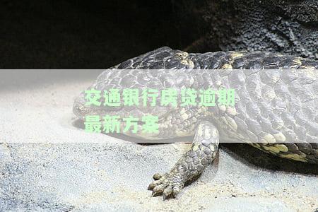 交通银行房贷逾期最新方案通知