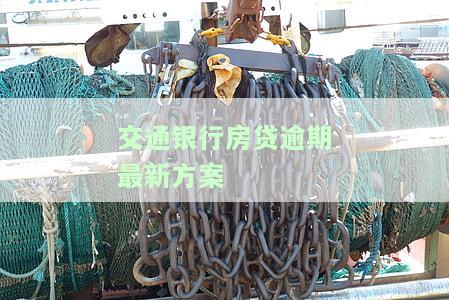 交通银行房贷逾期怎么办及其影响