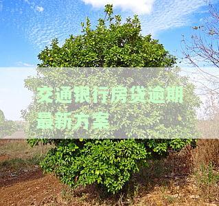 交通银行房贷宽限期几天，贷款申请要求、利率和审批流程