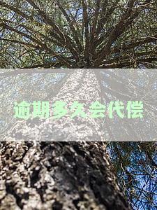 逾期多久会代偿催收：了解逾期还款会导致的代偿时机