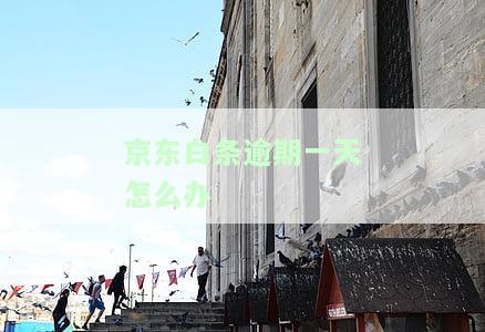 逾期一天会有什么后果，有奖问答