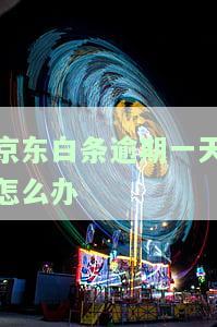 京东白条逾期一天怎么办