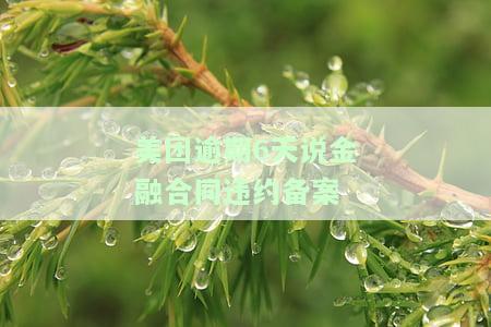 美团逾期6天说金融合同违约备案了，会怎样？