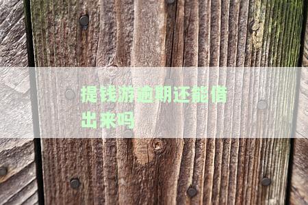 提钱游逾期会上征信么？如何避免逾期影响个人信用记录？