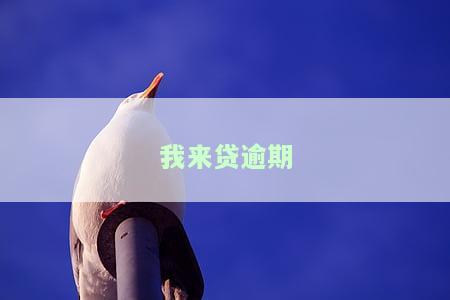 我来贷逾期几天会给紧急联系人打电话及通知家人？