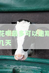 花呗最多可以逾期几天吗？如何处理逾期还款问题？