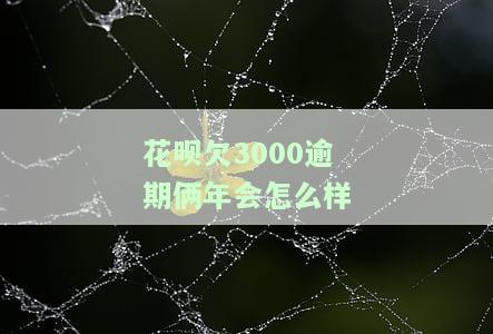 花呗欠3000逾期俩年会怎么样这么多会上门吗，花呗欠款三千逾期2年说会起诉怎么办？