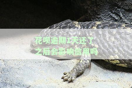 花呗逾期1天还了之后会影响信用吗？群怎么踢人？