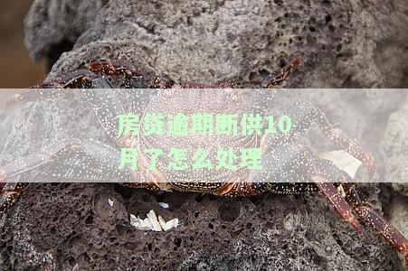 房贷逾期断供10月了怎么处理