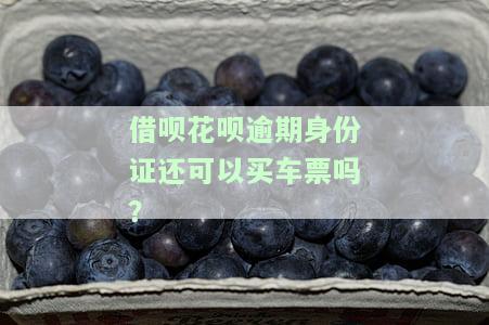 支付宝花呗借呗逾期能否购买高铁或飞机票，是否可以使用身份证购票？